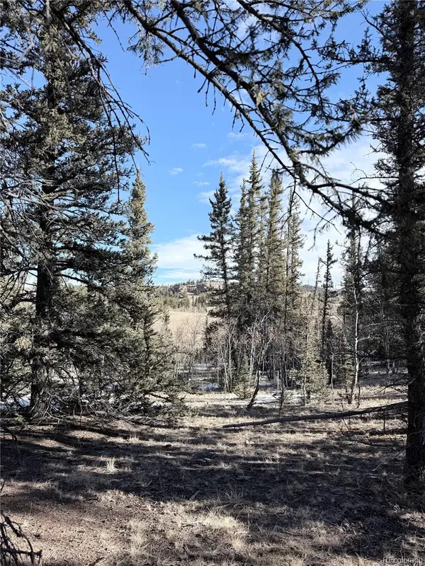 50 Rawhide WAY, Jefferson, CO 80456