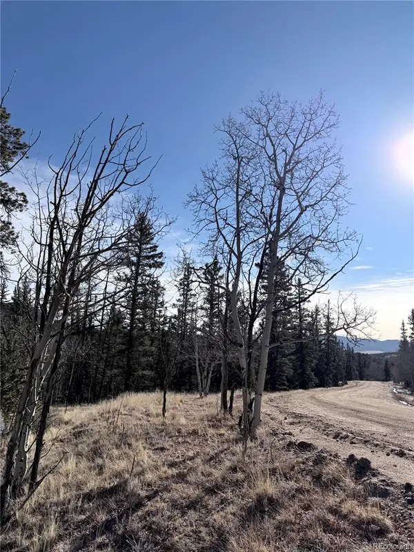 50 Rawhide WAY, Jefferson, CO 80456