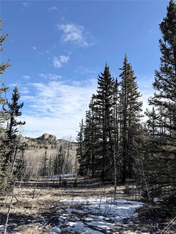 50 Rawhide WAY, Jefferson, CO 80456