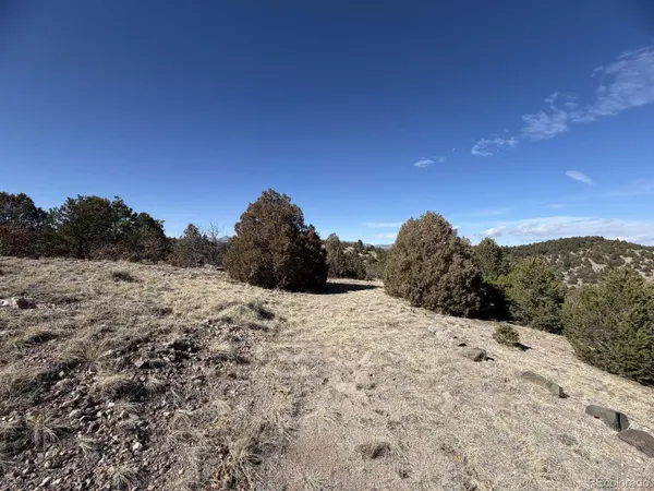 3412 Indian Wells RD, Cotopaxi, CO 81223