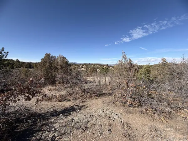 3412 Indian Wells RD, Cotopaxi, CO 81223