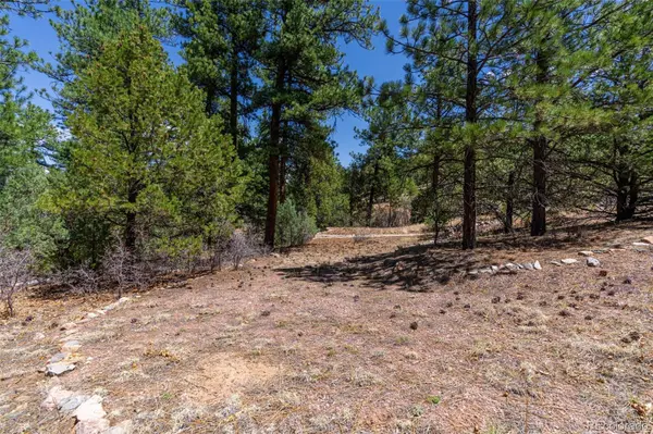 265 Alden LN, Cotopaxi, CO 81223