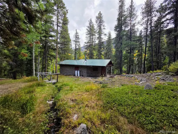 16101 Rob Roy MS MC, Nathrop, CO 81236