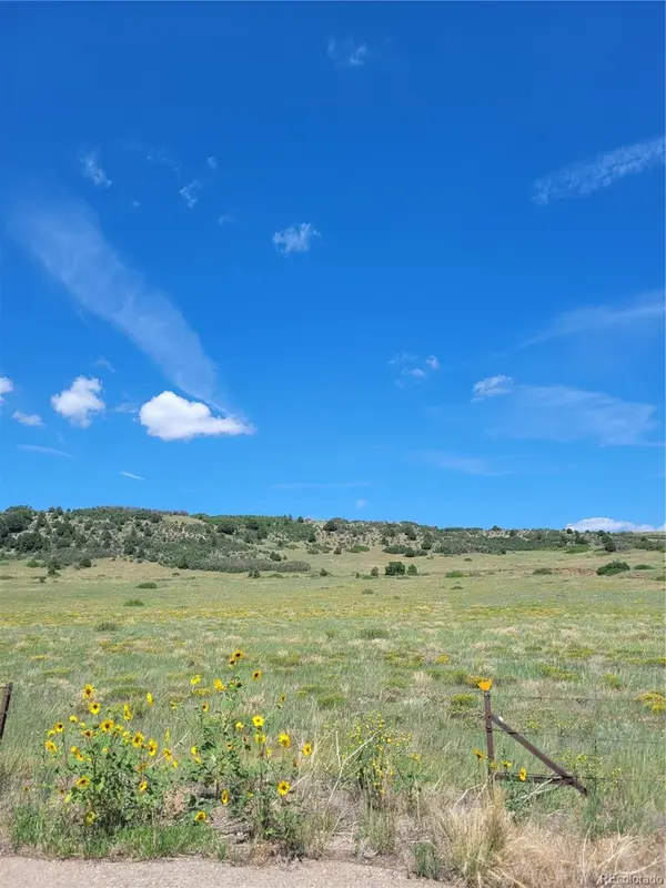 parrot DR, Alamosa, CO 81101