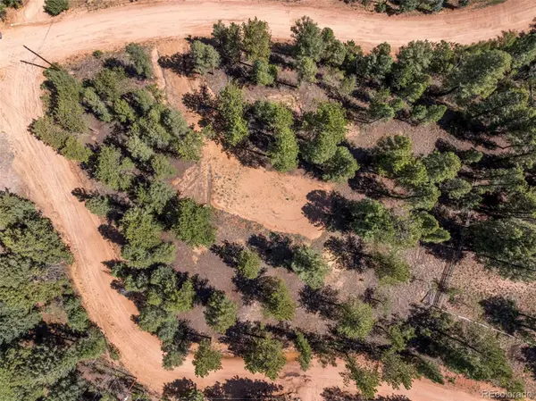 210 Donzi TRL, Florissant, CO 80816