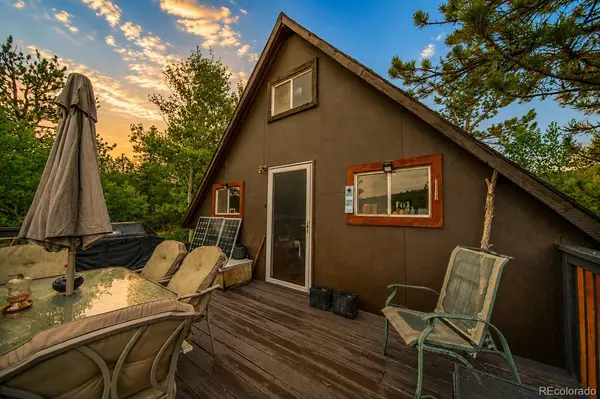 229 Mcdougal RD, Bailey, CO 80421