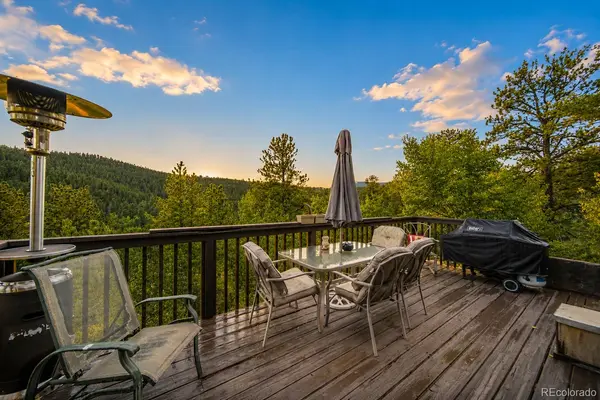 229 Mcdougal RD, Bailey, CO 80421