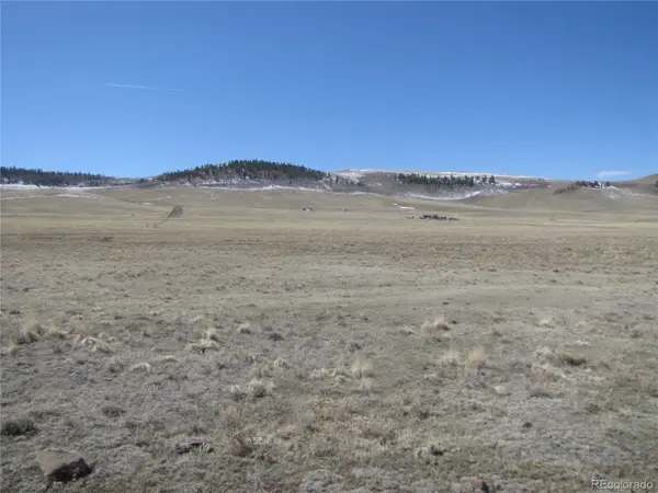 3860 Wichita TRL, Hartsel, CO 80449