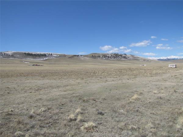 3860 Wichita TRL, Hartsel, CO 80449