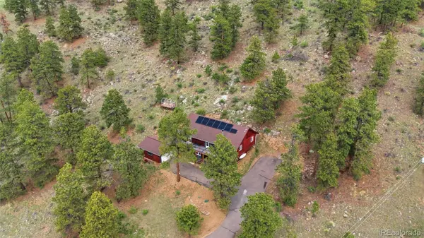 202 Badger LN, Bailey, CO 80421