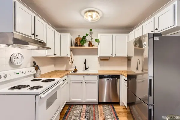 1390 N Emerson ST #407, Denver, CO 80218