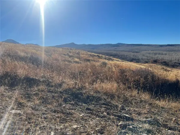544 Timberlane LOOP, Craig, CO 81625