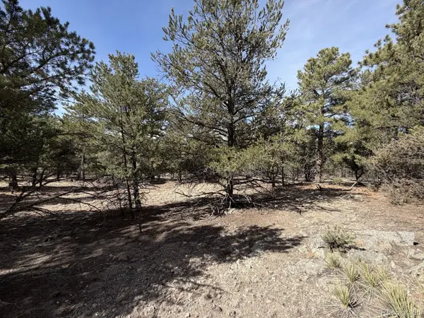 262 Harmon DR, Cotopaxi, CO 81223