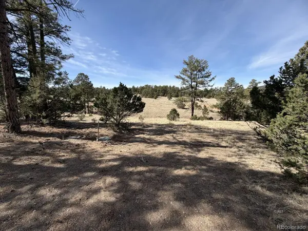 262 Harmon DR, Cotopaxi, CO 81223