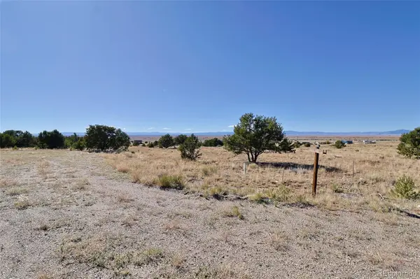 3402 Camino Del Rey, Crestone, CO 81131