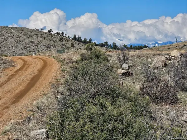 839 SHANNON TRL, Cotopaxi, CO 81223