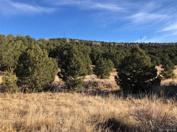 14748 Granite Pkwy, Salida, CO 81201