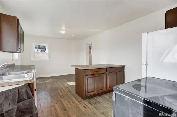 50 Singleton RD, Alma, CO 80420