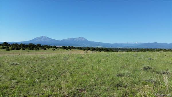 Lot 78 Navajo Ranch Resorts, Walsenburg, CO 81089