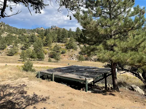 1810 Bird Point DR, Cotopaxi, CO 81223