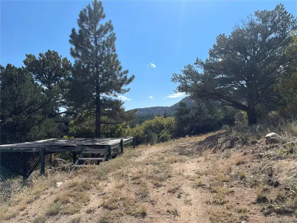 1810 Bird Point DR, Cotopaxi, CO 81223