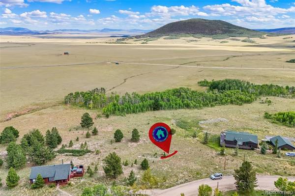 1327 Sheep Ridge RD, Fairplay, CO 80440
