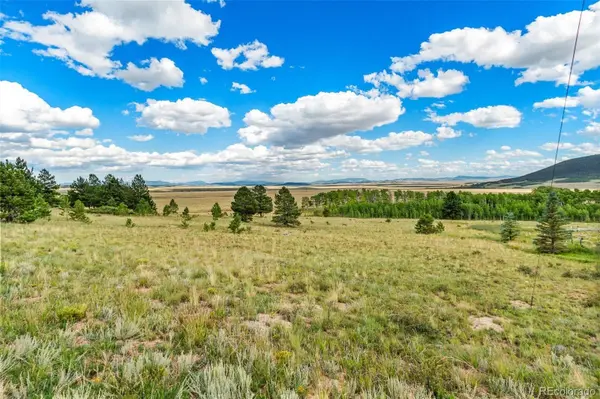 1327 Sheep Ridge RD, Fairplay, CO 80440