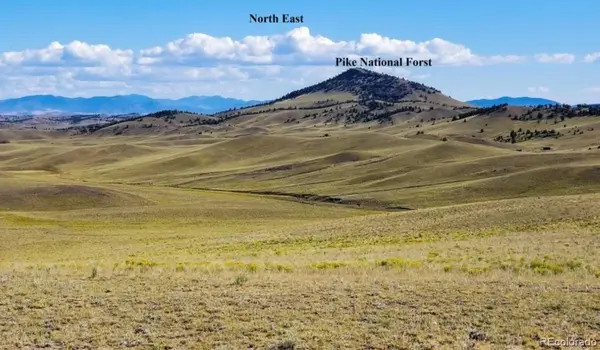 1804 Santee TRL, Guffey, CO 80820