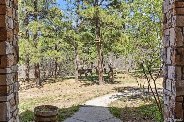 9676 S Perry Park RD, Larkspur, CO 80118