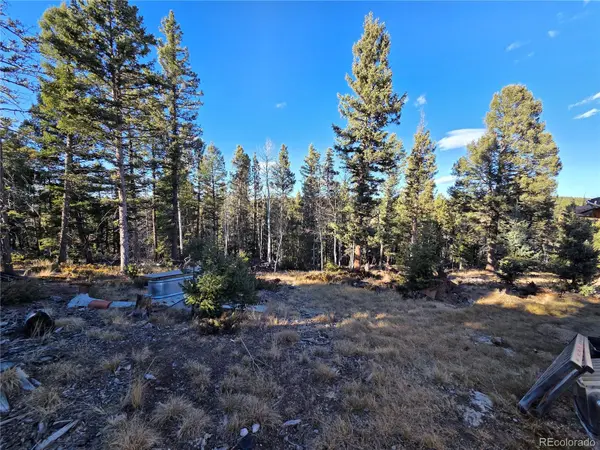 1434 Blue Mesa DR, Divide, CO 80814
