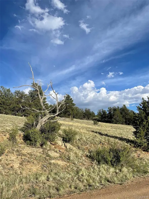 691 Cathy DR, Hartsel, CO 80449