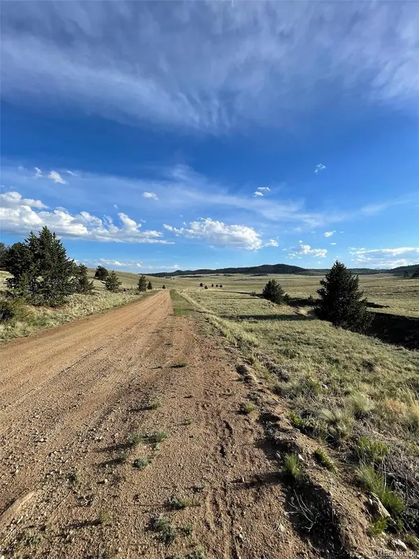 691 Cathy DR, Hartsel, CO 80449