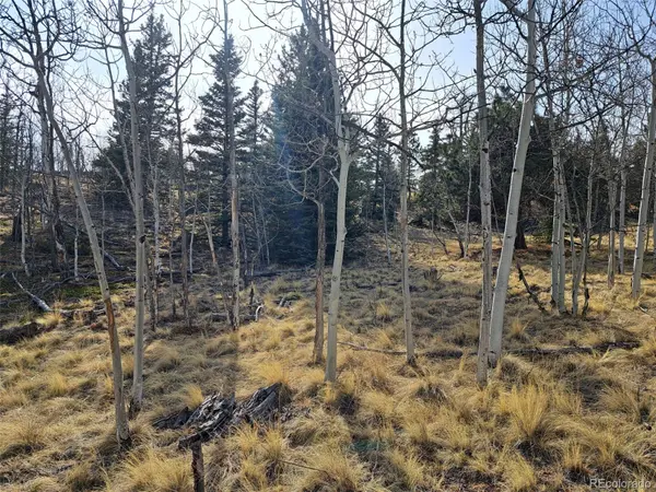 93 Wyandot WAY, Como, CO 80432