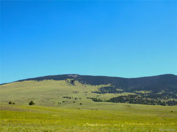 Hwy 9, Guffey, CO 80820