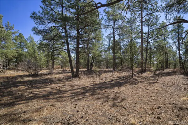 Rancho La Garita Lot 1129, Weston, CO 81091