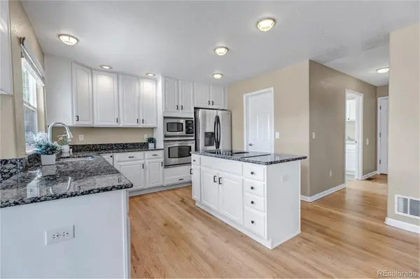 1645 Birchleaf CT, Castle Rock, CO 80104