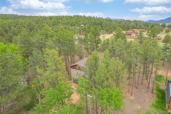 114 Homestead LN, Florissant, CO 80816