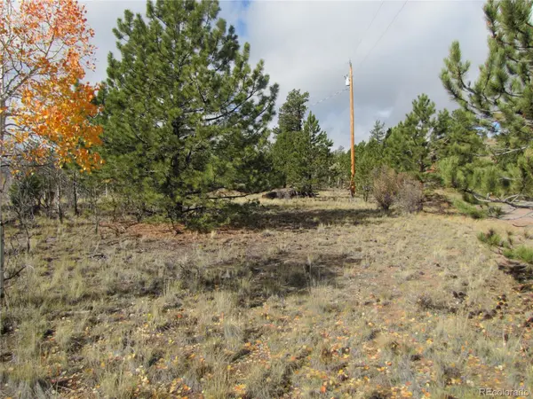 206 Bandolier CT, Hartsel, CO 80449