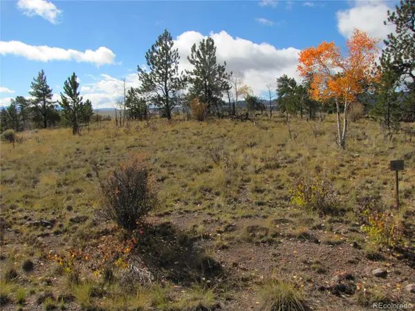206 Bandolier CT, Hartsel, CO 80449