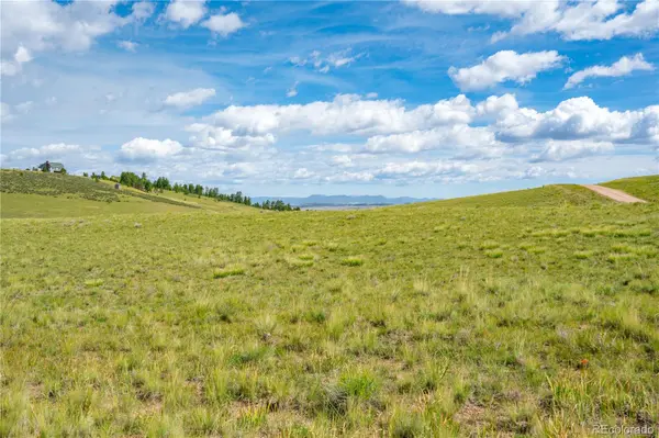 635 Hereford DR, Hartsel, CO 80449