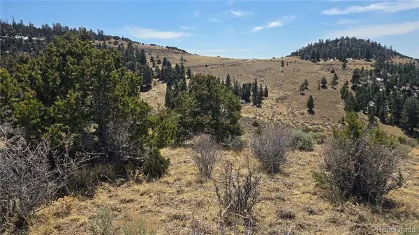 Lot 5506 Balleroy RD, Fort Garland, CO 81133