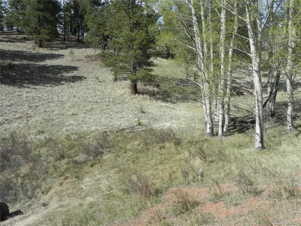 1699 Monarch DR, Cripple Creek, CO 80813