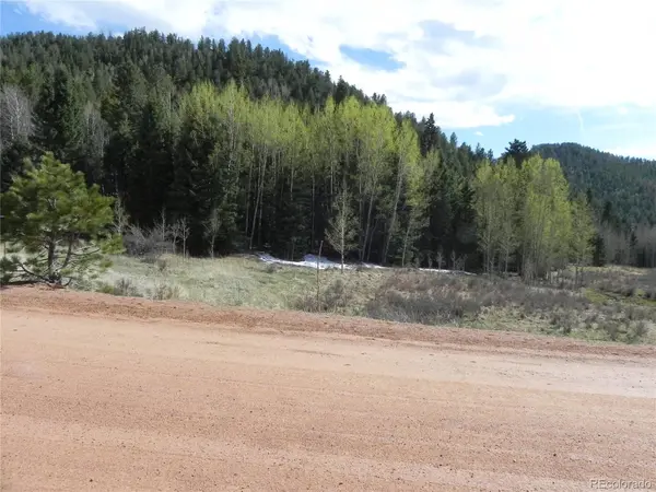 1699 Monarch DR, Cripple Creek, CO 80813