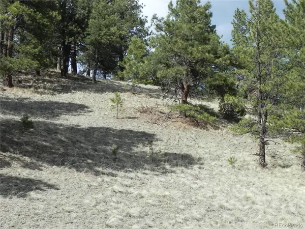 1699 Monarch DR, Cripple Creek, CO 80813