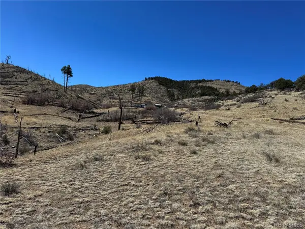 TBD 32nd F PATH, Cotopaxi, CO 81223