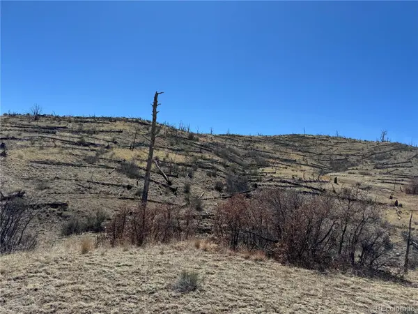 TBD 32nd F PATH, Cotopaxi, CO 81223