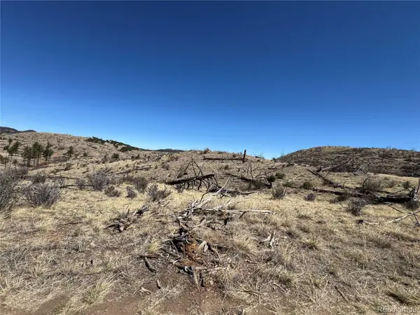 TBD 32nd F PATH, Cotopaxi, CO 81223