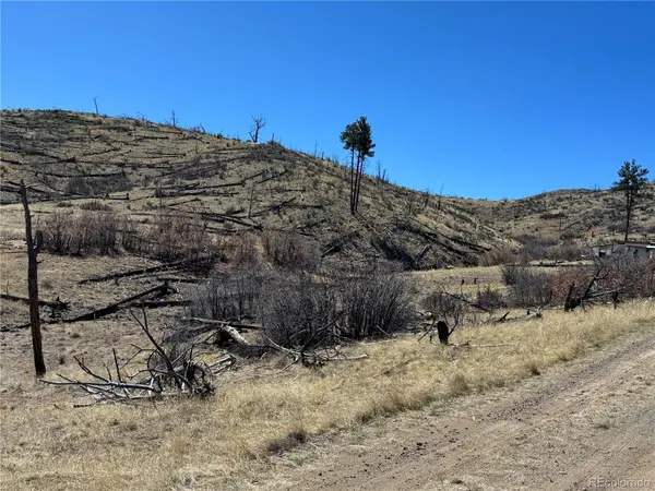 TBD 32nd F PATH, Cotopaxi, CO 81223
