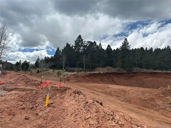 Firestone DR, Woodland Park, CO 80863