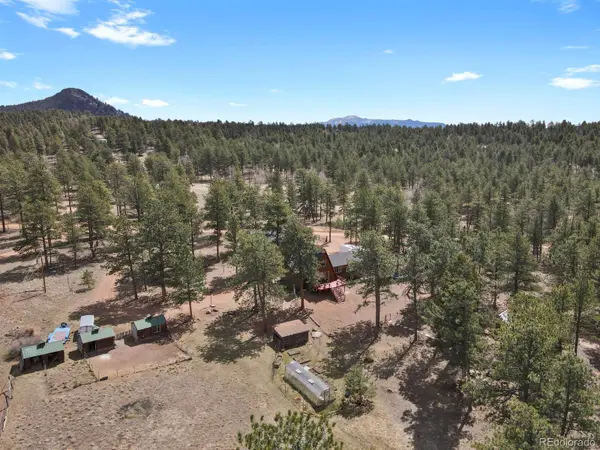 881 Trail Creek RD, Lake George, CO 80827